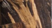 WoodFall7419