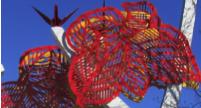 sevencranes1