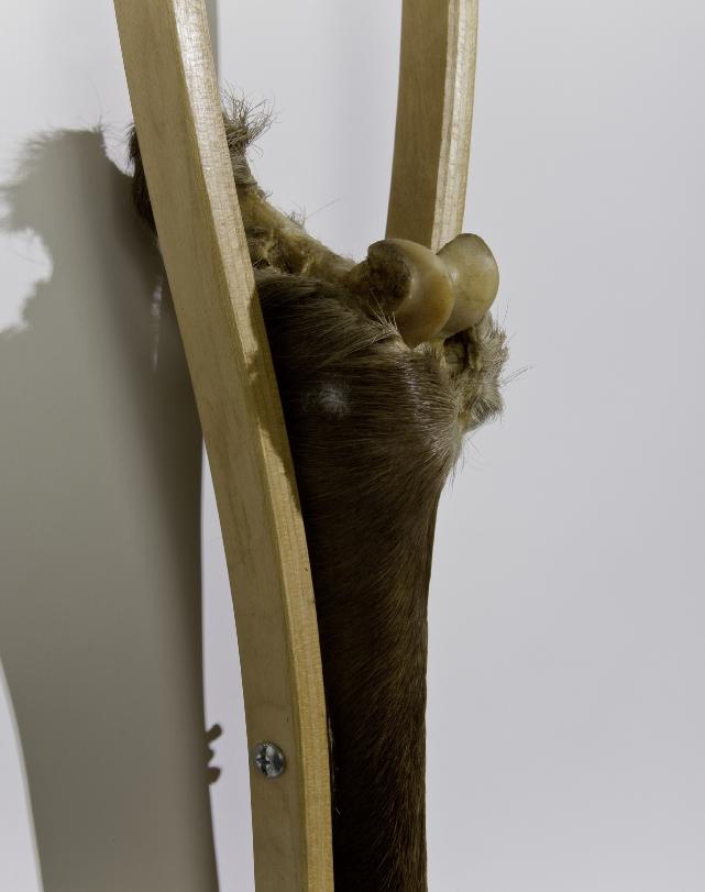 Crutchdetail
